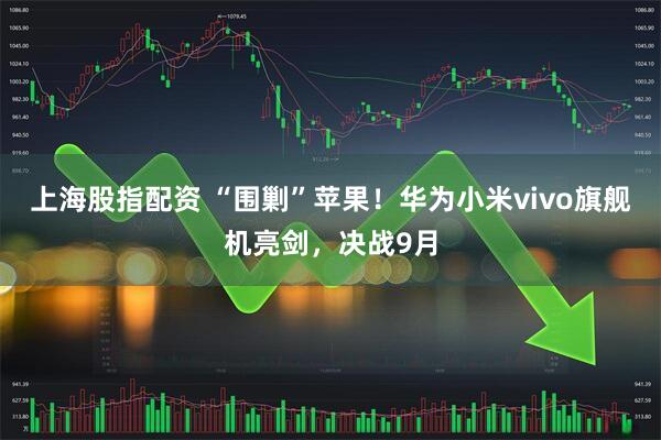 上海股指配资 “围剿”苹果！华为小米vivo旗舰机亮剑，决战9月